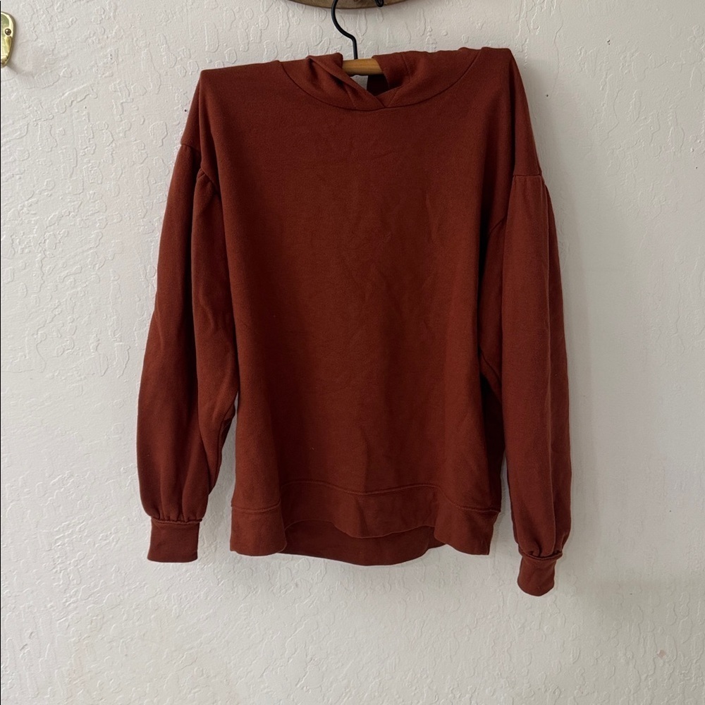 Madewell Auburn Brown Orange Pleated Hoodie Sweater Small - Picture 2 of 6